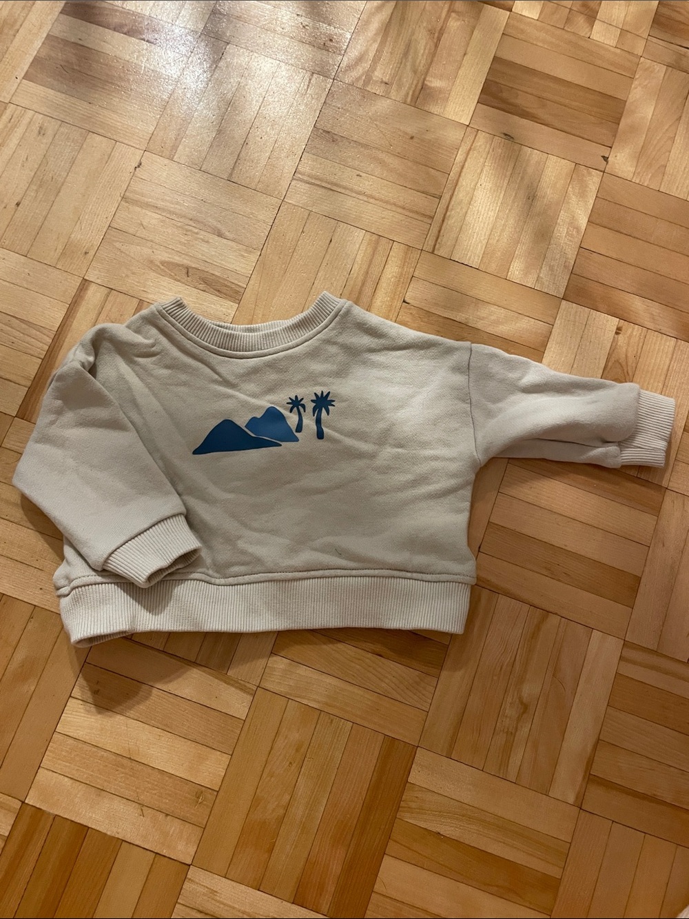 Cream Kids Graphic Sweatshirt with Blue Palm Motif